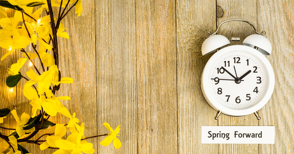 Daylight savings - Spring Forward